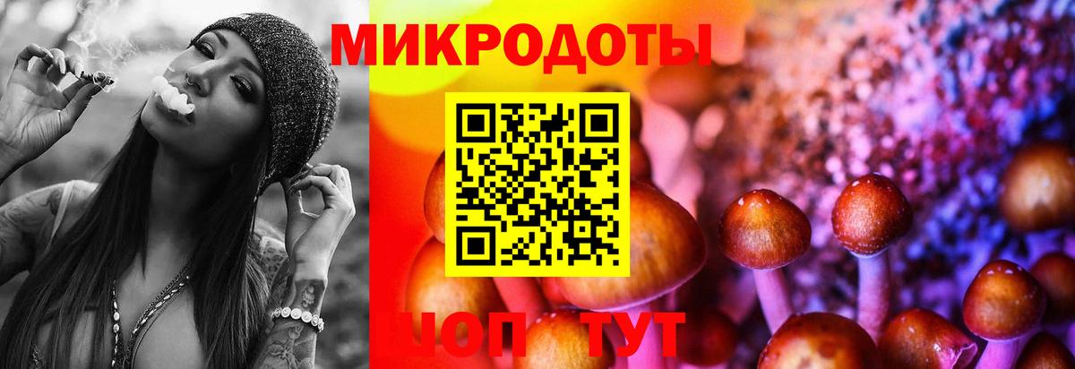 Галлюциногенные грибы мицелий  Вход с VPN  Новозыбков 