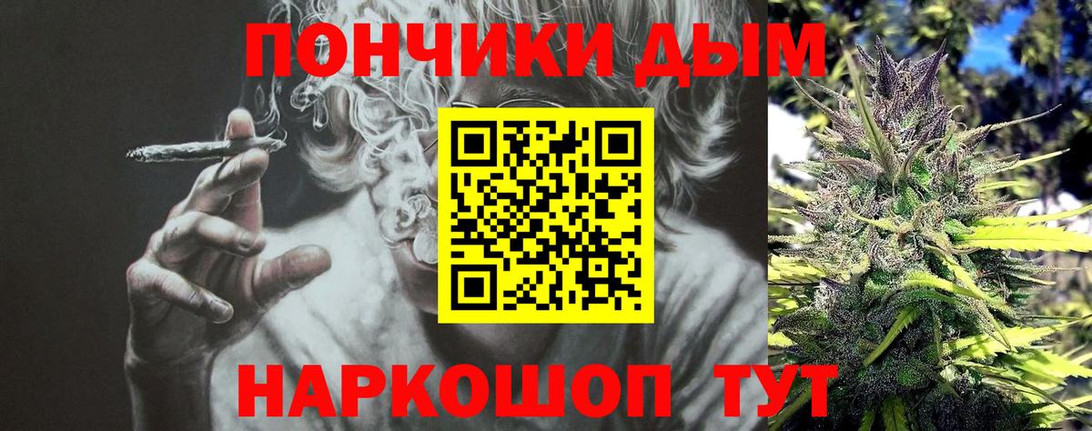 Канабис сатива Новозыбков